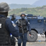 Policia parandalon kontrabandë barnash nga Serbia në fshatin Novosellë