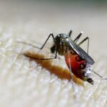 Çitaku kritikon Ministrinë e Jashtme pas arrestimit të ish-ushtarit të UÇK-së në Serbi