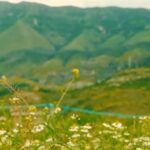 Mospajtime mes MASHT-it dhe Institutit Albanologjik për emërimin e drejtorit