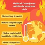 Komunat në kolaps financiar – Kontratat Kolektive po bllokojnë projektet zhvillimore