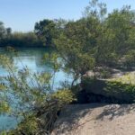 “ÇELET KULETA” – Komuna e Vushtrrisë jep mbi gjysmëmilioni euro për drunj dekorativë