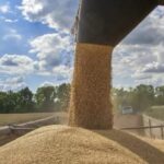 Lumir Abdixhiku takohet me presidenten Osmani në përpjekje për zgjidhjen e ngërçit politik