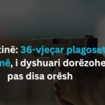 Tentativa e 52-të për konstituimin e Kuvendit, ambasadorët ndërkombëtarë pritet të jenë të pranishëm në orën 11:00