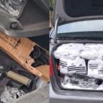 Qeveria britanike refuzon kritikat për njohjen e shtetit palestinez, duke theksuar se nuk shpërblehet Hamasi