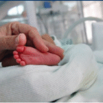 Policia sekuestron dy armë në Vushtrri dhe një në Skenderaj