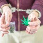 Mallrat nga SHBA hyjnë pa tarifë doganore në Kosovë – këto janë kriteret