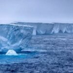 Shiten të gjitha biletat për ndeshjen Zvicër–Kosovë, pritet përkrahje e madhe për “Dardanët”