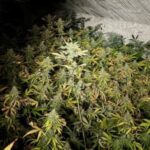 Gjykata Speciale ua vazhdon paraburgimin Veselit, Selimit dhe Krasniqit