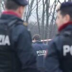 Behrami denoncon manipulim të votave në Mitrovicë: Akuzon “tren qeveritar”