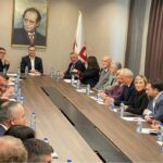 Hykmete Bajrami: Qeveria e Kurti po e lufton Janina Ymerin, jo mafinë energjetike