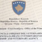 Mohamed Salah rikthehet pa pushim te Liverpooli dhe është gati për sfidën ndaj Marseille në Ligën e Kampionëve.